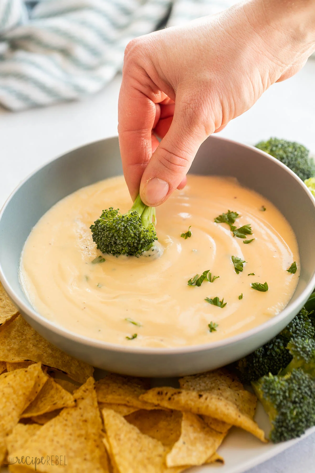 Cheese Sauce Recipe